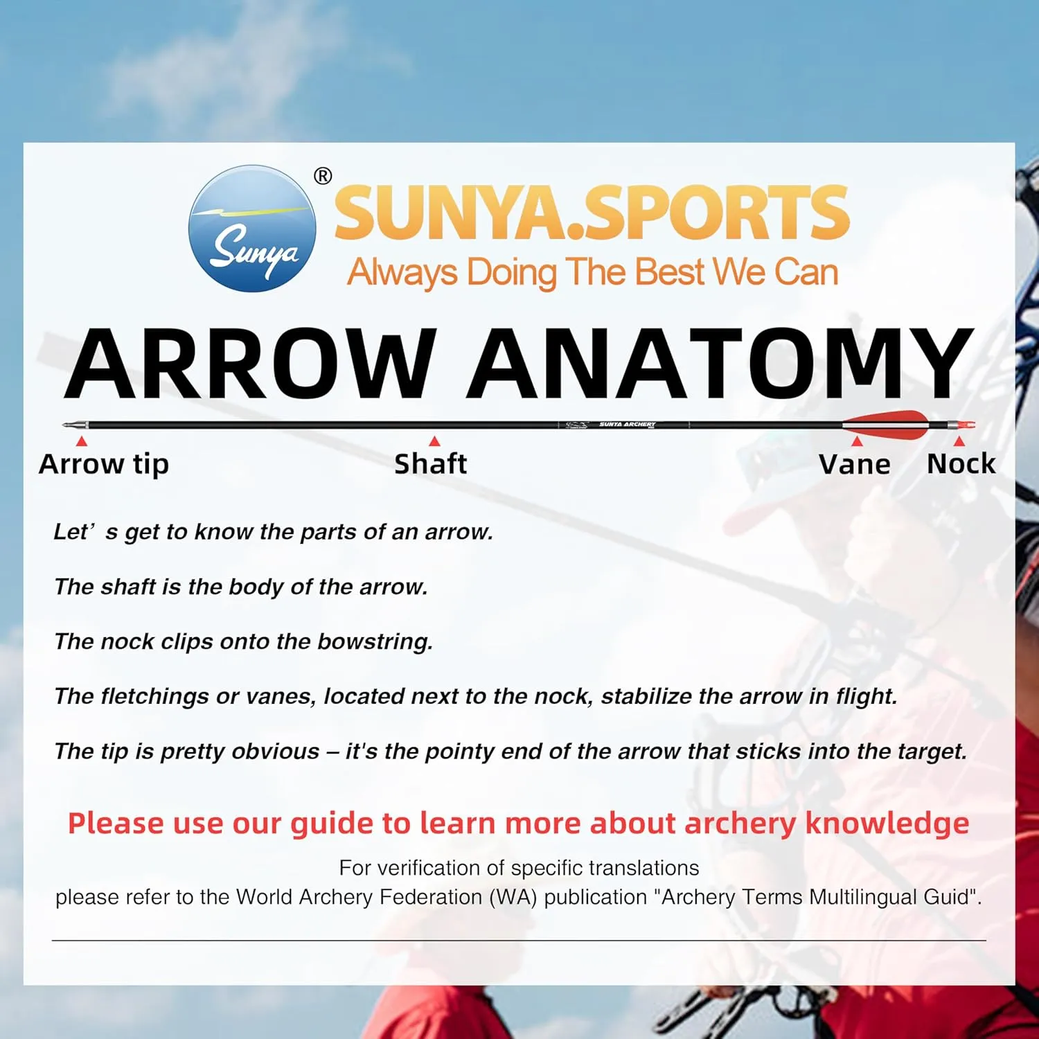 SUNYA Archery Compound Bow Arrows 12pcs Set. 30" Carbon Shaft, Spine 400 or 500 with Removable Tips